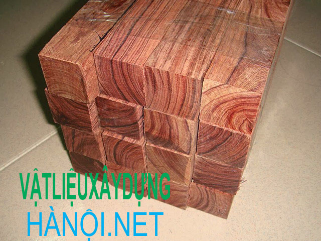 Cây Gỗ gõ đỏ là gì?