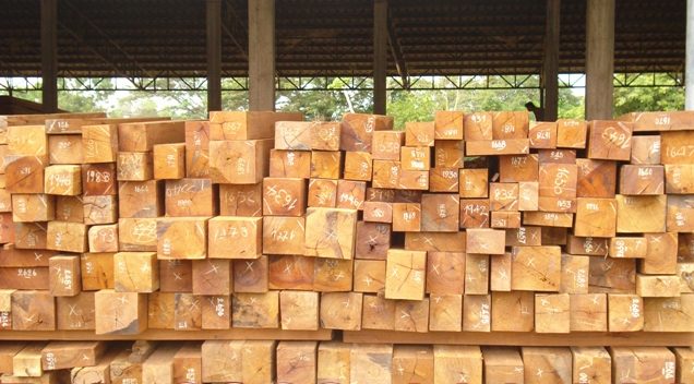 Gỗ lim Lào tự nhiên đã khai thác