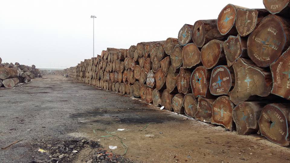 Bãi gỗ lim Nam Phi nhập khẩu