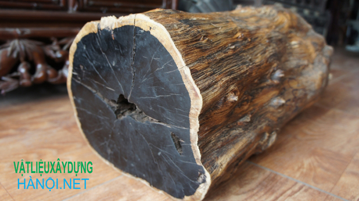Gỗ mun là gì?