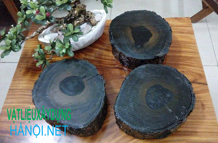 Phân loại cây gỗ mun