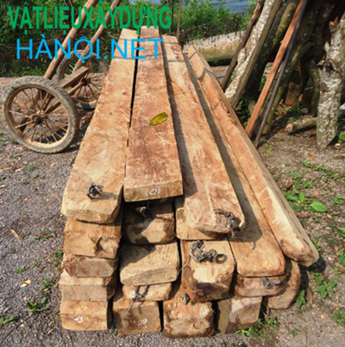 Gỗ táu là gì, có tốt không?