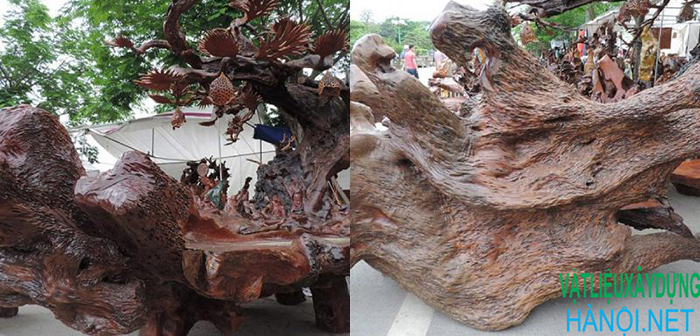 Tìm hiểu về một số loại gỗ khác