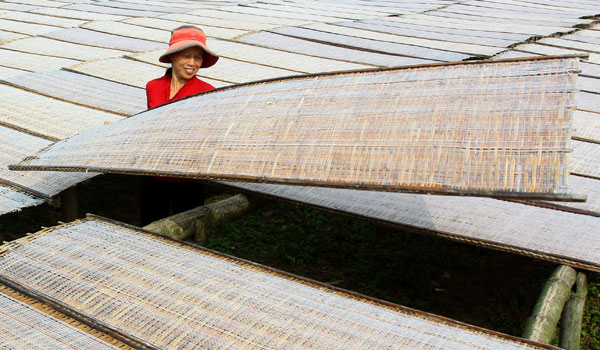 Cơ sở cung cấp phên tre Thái Dương