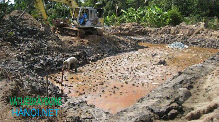 Đóng cừ tràm là gì?