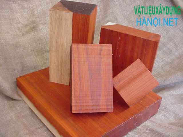 Khái niệm và phân loại đặc điểm một số loại gỗ lim